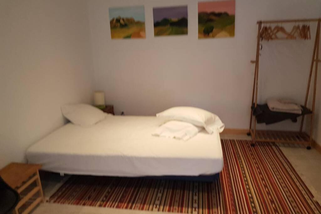 Maison Marijke Garden Studio Céret Exteriér fotografie